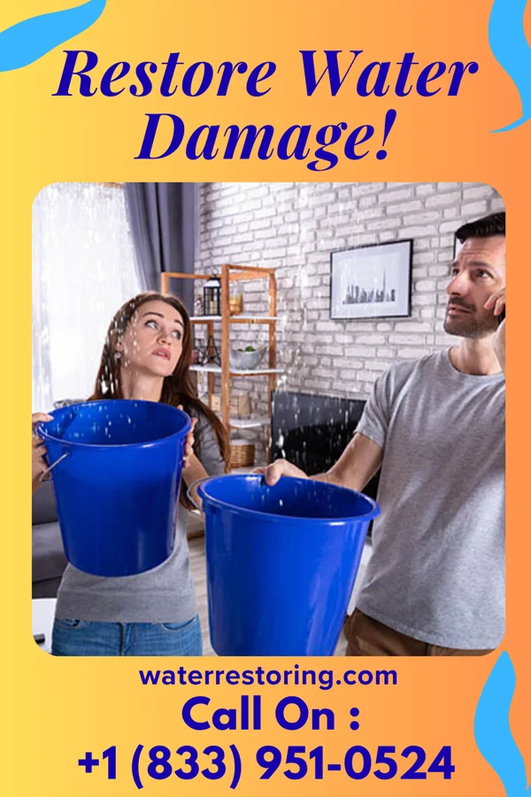 water restoration Shield Extraction Specialists Beaverville