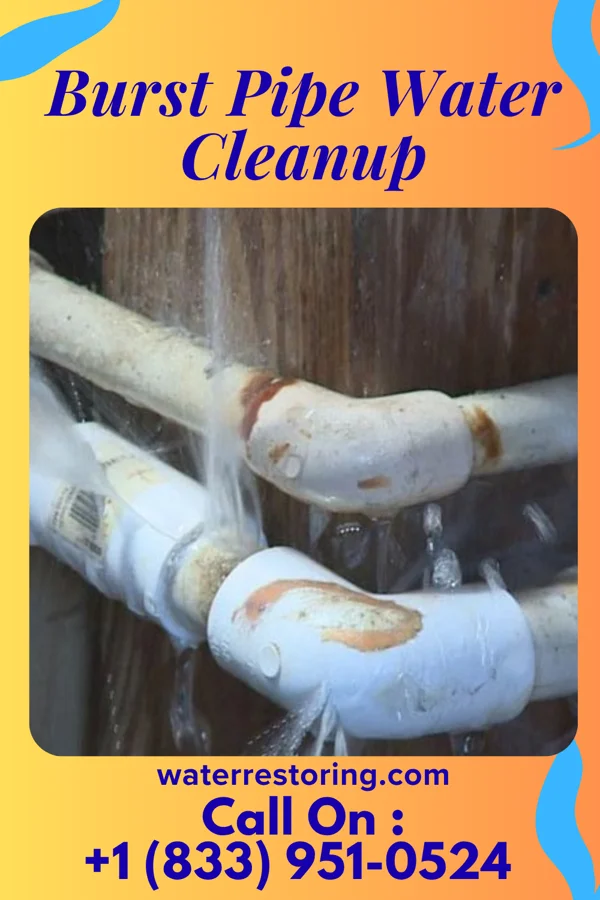 Burst Pipe Water Cleanup in Beaverville, IL