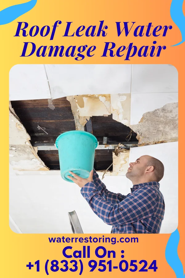 Roof Leak Water Damage Repair in Beaverville, IL