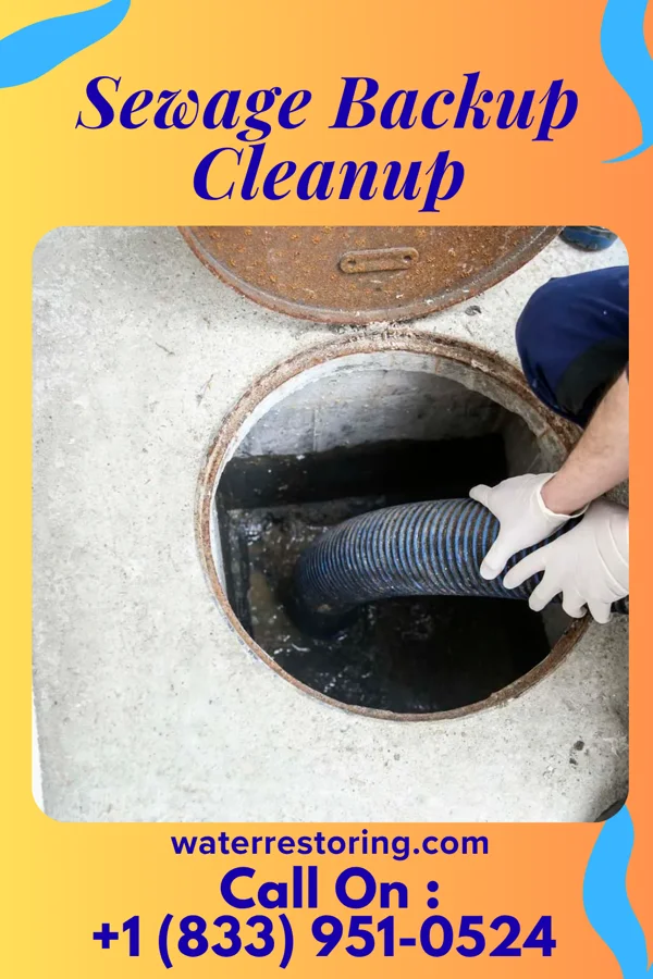 Sewage Backup Cleanup in Beaverville, IL